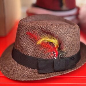 Stylish Brown Fedora with Black Band and Feather Accent